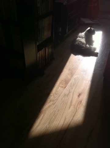 20110601-080001.jpg