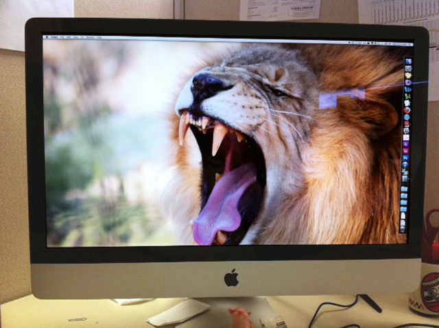 Mac OS X 10.7: How much for that Lion?